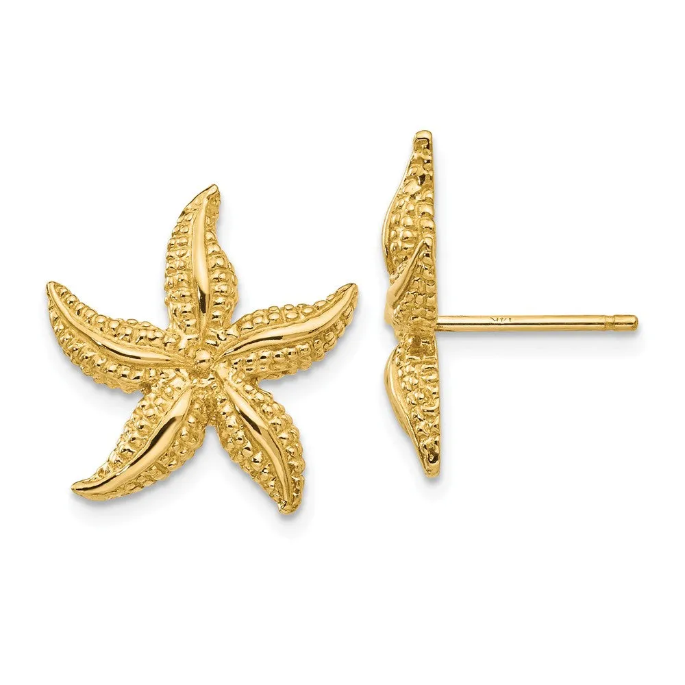 15mm Satin Textured Starfish Post Earrings in 14k Yellow Gold