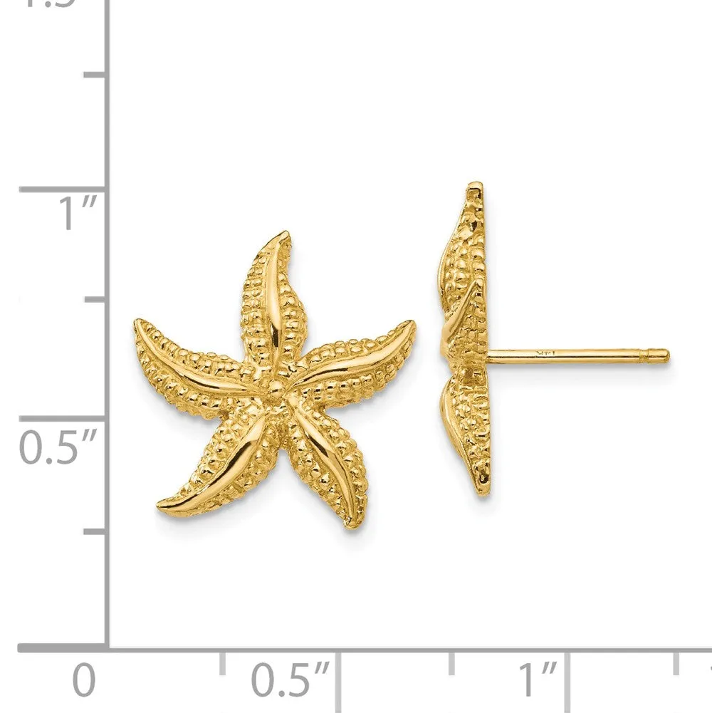 15mm Satin Textured Starfish Post Earrings in 14k Yellow Gold