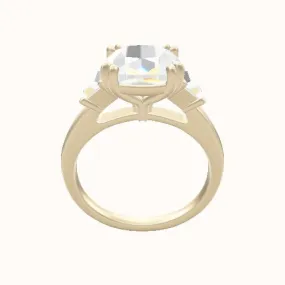 Cathedral Band with Trapezoid Sidestones Engagement Ring With Double Prongs Head