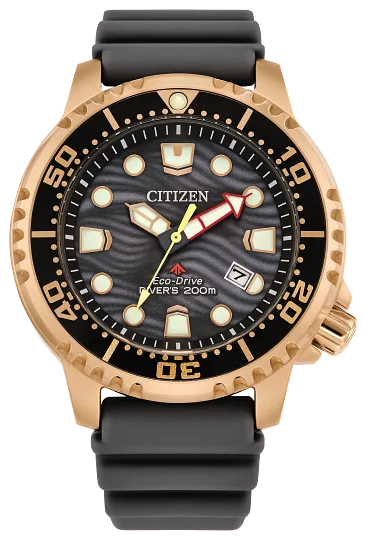 Citizen Eco-Drive Promaster Dive