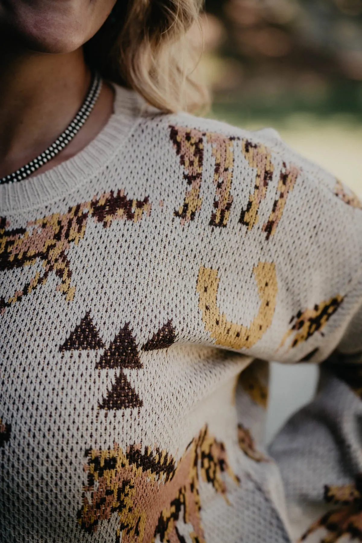 'Rylen' Horse Knit Sweater (M-XL Only)